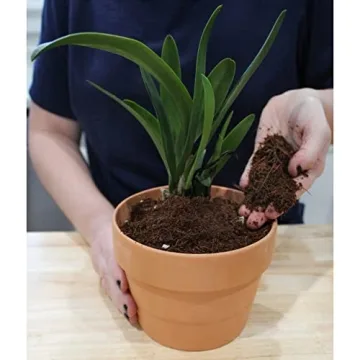 Premium Terrarium Potting Soil Mix with Filtering Charcoal