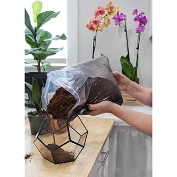 Premium Terrarium Potting Soil Mix with Filtering Charcoal