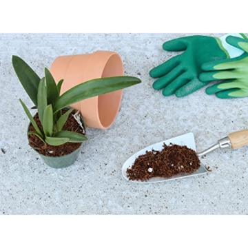 Premium Terrarium Potting Soil Mix with Filtering Charcoal