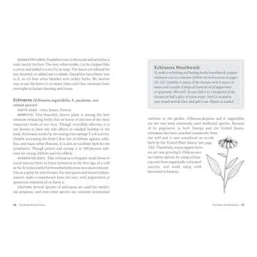 Herbs for Common Ailments: How to Make and Use Herbal Remedies for Home Health Care. A Storey BASICS® Title