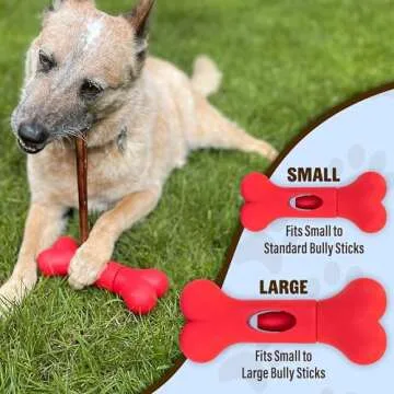 GoSports Chew Champ Bully Stick Holder for Dogs - Securely Holds Bully Sticks to Help Prevent Choking - 6 in or 8 in Size, 1 Count (Pack of 1)