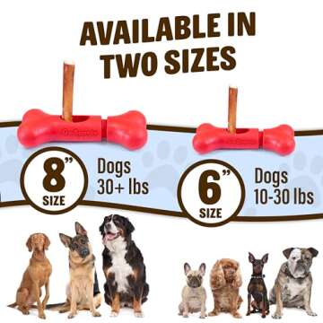 GoSports Chew Champ Bully Stick Holder for Dogs - Securely Holds Bully Sticks to Help Prevent Choking - 6 in or 8 in Size, 1 Count (Pack of 1)