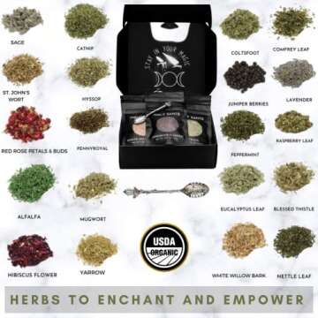 Holy Santo Organic Dried Herbs for Witchcraft Supplies Kit - 20 Witch Herbs for Spells with Crystal ...