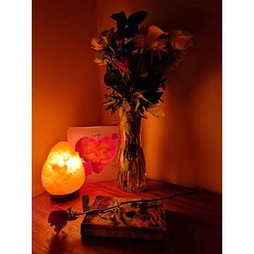 Needs&Gifts 2-3 KG Prime Quality 100% Original Himalayan Crystal Rock Salt Lamp Natural from foothills of the Himalayas Beautifully Hand Craft Comes with Complete Electric fitting Guaranteed