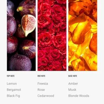 Hotel Collection Diffuser Oil - Black Velvet Aromatherapy Essential Oil