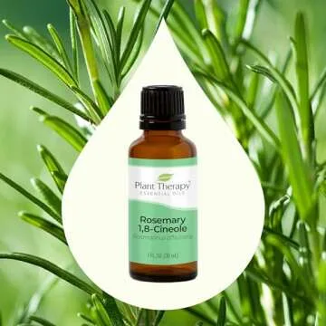 Plant Therapy Rosemary Essential Oil for Hair Growth, 100% Pure, Undiluted, Natural Aromatherapy for Diffuser & Rosemary Oil for Hair & Scalp, Therapeutic Grade 30 mL (1 oz)