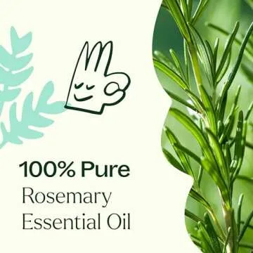 Plant Therapy Rosemary Essential Oil for Hair Growth, 100% Pure, Undiluted, Natural Aromatherapy for Diffuser & Rosemary Oil for Hair & Scalp, Therapeutic Grade 30 mL (1 oz)