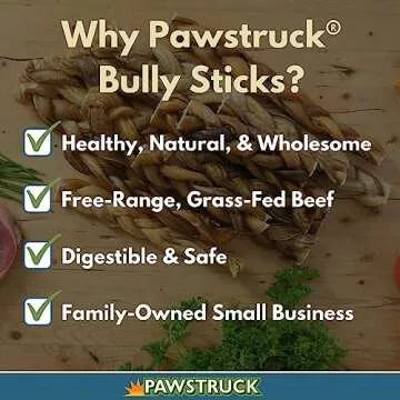 Pawstruck Natural 12" Braided Bully Sticks for Dogs – Tough, Long-Lasting, Rawhide-Free, Low-Odor, Single Ingredient Chew Treat for Aggressive Chewers – 5 Count – Packaging May Vary