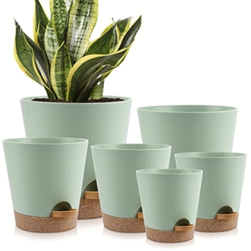 Self Watering Planters - 6 Pack for Indoor Use