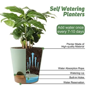 Self Watering Planters - 6 Pack for Indoor Use
