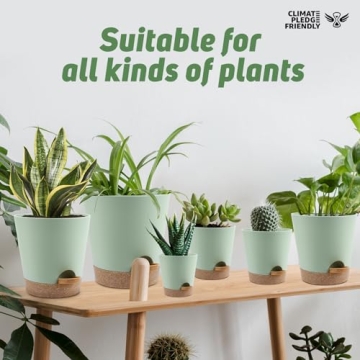 Self Watering Planters - 6 Pack for Indoor Use