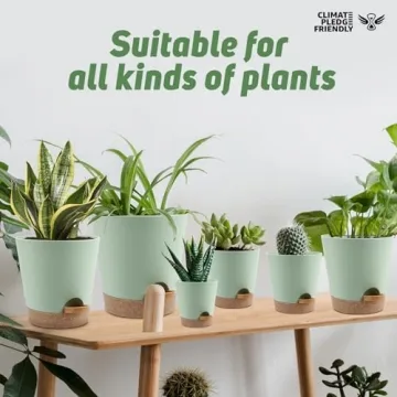 Self Watering Planters - 6 Pack for Indoor Use