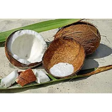 Aloha Designs 3 Pack Coconut Air Freshener for Cars