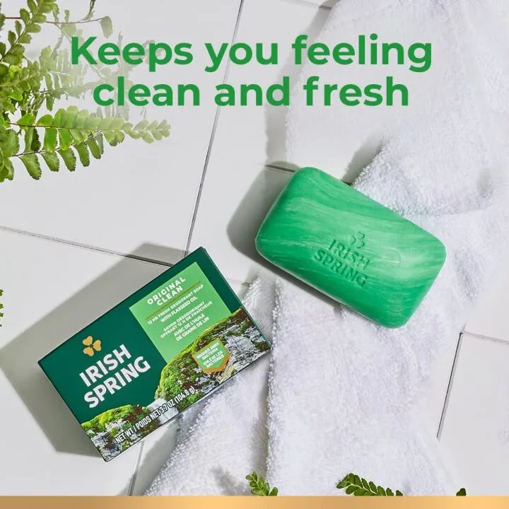 Irish Spring Deodorant Soap, Original Scent - 24 Pack