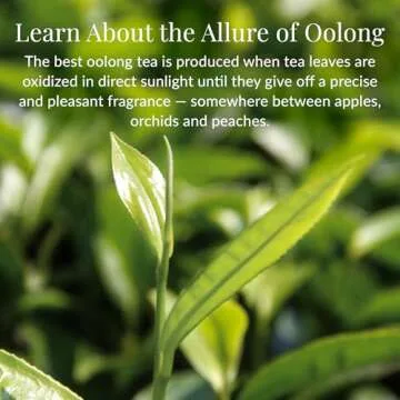 The Republic of Tea — Milk Oolong Full-Leaf Loose Tea Tin, 3.5 oz Tin, Steeps 50 Cups