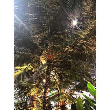 AMERIQUE, White Gorgeous and Unique 2' Artificial Silk Flower Plant, with Nursery Plastic Pot, Feel Real Technology, Super Quality, Orchid, 2 feet