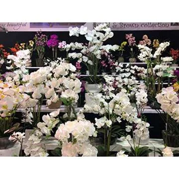 AMERIQUE 2' Artificial Silk Orchid Plant - Lifelike Decor