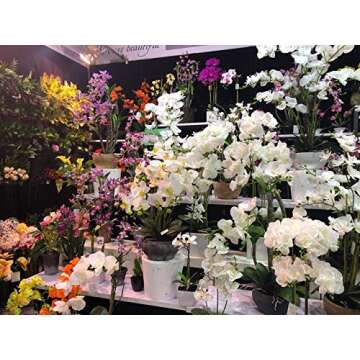 AMERIQUE, White Gorgeous and Unique 2' Artificial Silk Flower Plant, with Nursery Plastic Pot, Feel Real Technology, Super Quality, Orchid, 2 feet