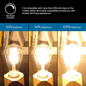 Vintage LED Edison Bulbs - Dimmable, 4W, Warm White - 4 Pack