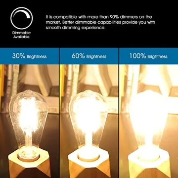 Vintage LED Edison Bulbs - Dimmable, 4W, Warm White - 4 Pack