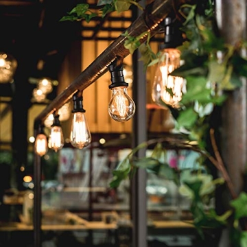 Vintage LED Edison Bulbs - Dimmable, 4W, Warm White - 4 Pack