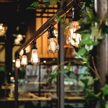 Vintage LED Edison Bulbs - Dimmable, 4W, Warm White - 4 Pack