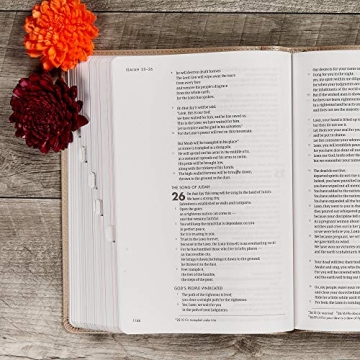 Elegant CSB She Reads Truth Bible for Women