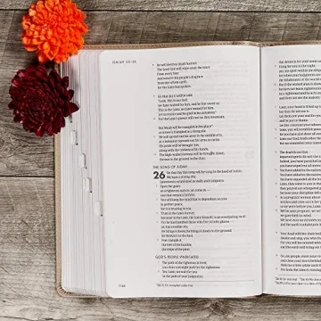 Elegant CSB She Reads Truth Bible for Women