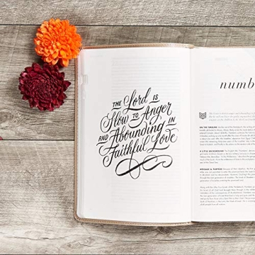 Elegant CSB She Reads Truth Bible for Women