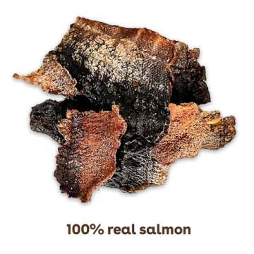 Pupford Salmon Jerky Treats for Dogs for Large & Small Dogs of All Ages | Made in USA, 100% Real Meat & No Fillers | Dogs Love These Tasty Dog Snacks (Salmon 8 oz)