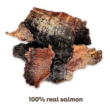 Pupford Salmon Jerky Treats for Dogs for Large & Small Dogs of All Ages | Made in USA, 100% Real Meat & No Fillers | Dogs Love These Tasty Dog Snacks (Salmon 8 oz)