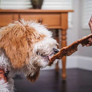 Pupford Salmon Jerky Treats for Dogs for Large & Small Dogs of All Ages | Made in USA, 100% Real Meat & No Fillers | Dogs Love These Tasty Dog Snacks (Salmon 8 oz)