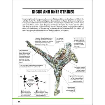 Delavier's Mixed Martial Arts Anatomy