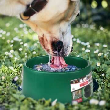 Farm Innovators Heated Pet Water Bowl - 1.5 Gallons, Durable