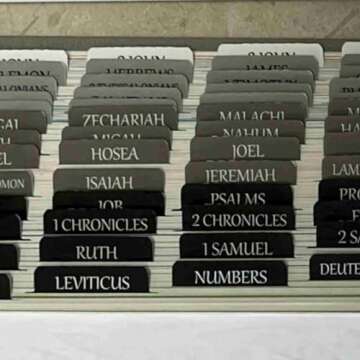 Thinkor Reposition Bible Tabs, Large Print Lanimated Stickers, Easy to Read and Apply Bible Tabs for Women and Man (Gray Green)