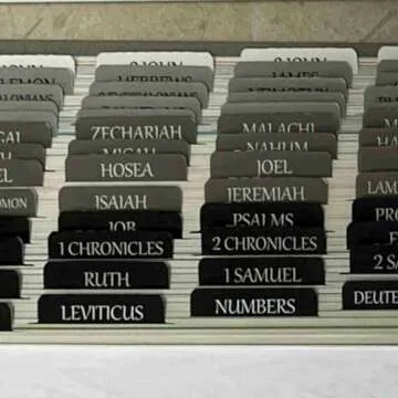 Thinkor Self-Adhesive Bible Tabs for Easy Organization