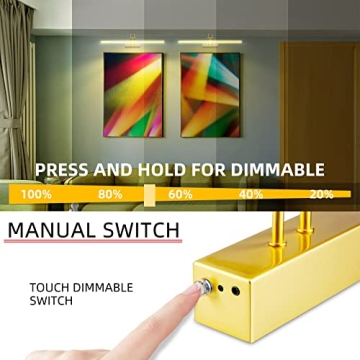 RAIFOOLLY 16in Battery Operated Picture Light