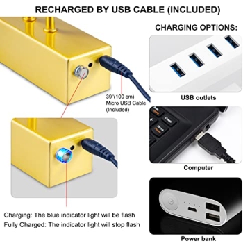 RAIFOOLLY 16in Battery Operated Picture Light