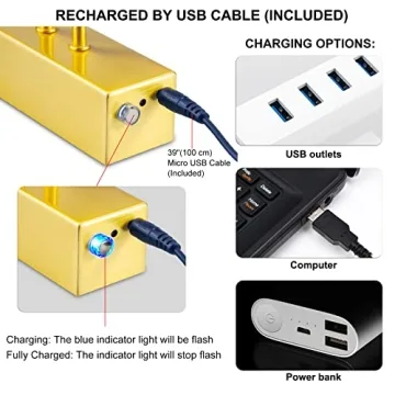 RAIFOOLLY 16in Battery Operated Picture Light