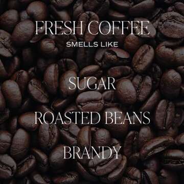 Sweet Water Decor Fresh Coffee Candle - Caramel Creme, Mocha Latte, and Kona Coffee Scented Candle for Home - 12oz Stone Jar, 60+ Hour Burn Time, Made in the USA