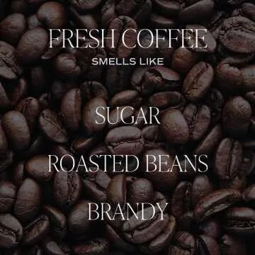 Sweet Water Decor Fresh Coffee Candle - Caramel Creme, Mocha Latte, and Kona Coffee Scented Candle for Home - 12oz Stone Jar, 60+ Hour Burn Time, Made in the USA