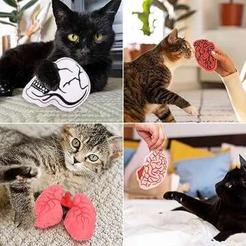 Petsinurarea Cat Toys Catnip 4pcs Cat Chew Toy Interactive Heart Brain Bite Resistant Toys for Cats Boredom Relief Teeth Cleaning Soft Plush Indoor Cat Toys Cat Lover Gift