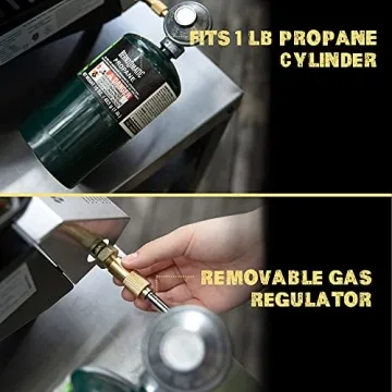 Royal Gourmet PD1302 Portable Gas Grill Griddle for Outdoor Cooking