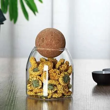 Piscepio Glass Storage Canister with Cork Lid 500ML