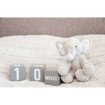 Little Pear Baby Keepsake Milestone Blocks, Growth Marker Blocks, Baby Age Photo Prop, Gray & White, Wooden