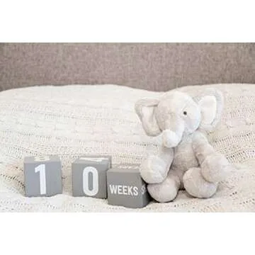 Little Pear Baby Keepsake Milestone Blocks, Growth Marker Blocks, Baby Age Photo Prop, Gray & White, Wooden