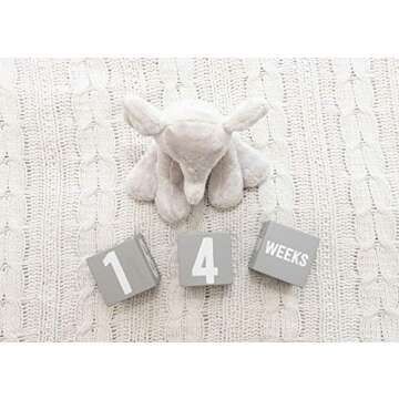Little Pear Baby Keepsake Milestone Blocks, Growth Marker Blocks, Baby Age Photo Prop, Gray & White, Wooden