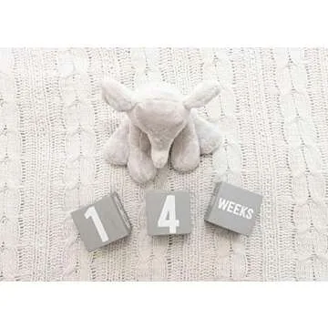 Little Pear Baby Keepsake Milestone Blocks, Growth Marker Blocks, Baby Age Photo Prop, Gray & White, Wooden
