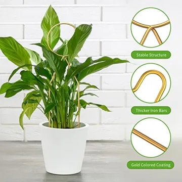 Stylish Gold Trellis for Plant Support Indoor Plants