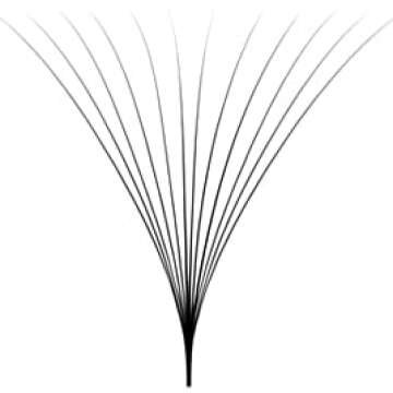 Premium 12D Eyelash Extensions - 500 Loose Fans, 0.03 Thickness